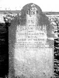 image of grave number 61111